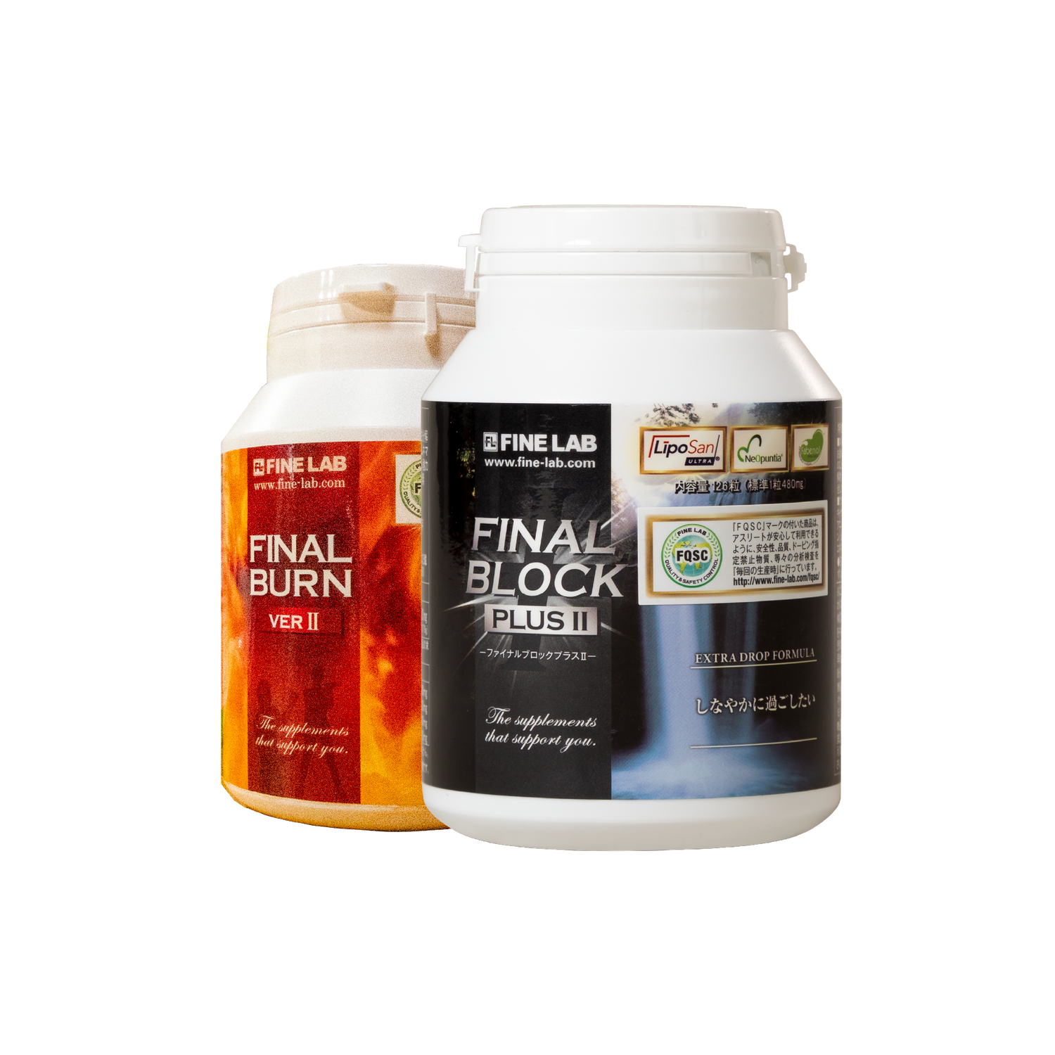 Ⅲ ダイエット・燃焼