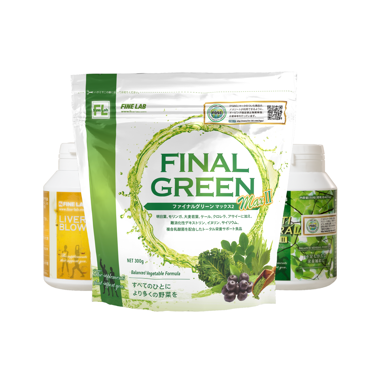 Ⅴ サポート・ケア